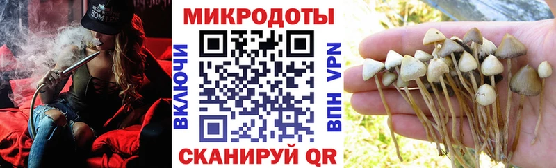 Галлюциногенные грибы GOLDEN TEACHER  Купить где  Томмот 